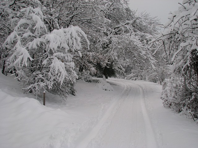sníh na cestě